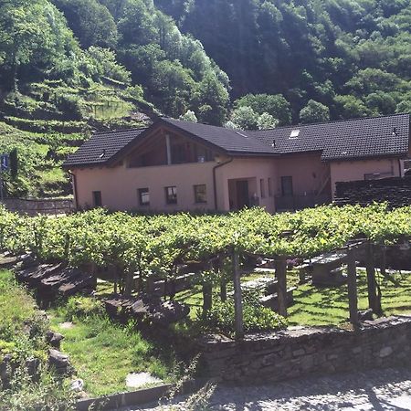 Ferienwohnung La Casina Giumaglio Exterior foto